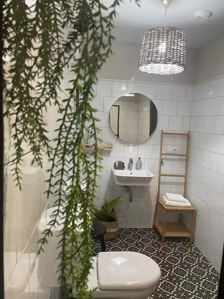 Foto del baño visto desde la mampara del baño con unas plantitas en un lado